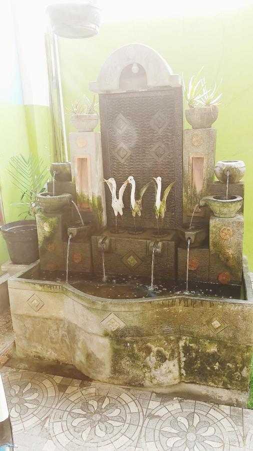 Bali Dd Homestay Seminyak 外观 照片